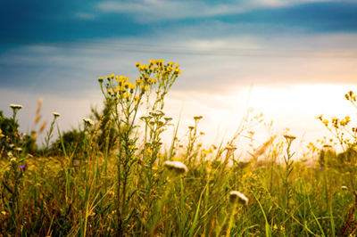 Авторський тур Похід по річці Гнилий Єланець – Національний парк Єланецький степ (озера, водоспади, бізони, біологічне різноманіття) Миколаївська область/Єланецький степ