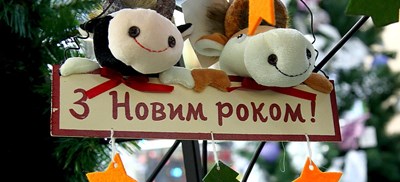 Авторский тур Новогодний микс на экоферме: варка сыра, изготовление елочных украшений, контактные животные и зимний сад Днепропетровская область/Зеленый Гай Авторский тур Новогодний микс на экоферме: варка сыра, изготовление елочных украшений, контактные животные и зимний сад Днепропетровская область/Зеленый Гай