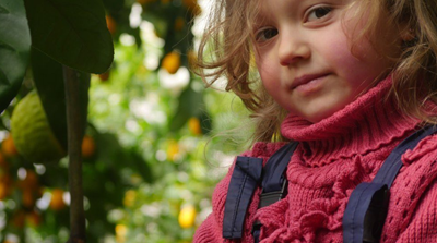 Авторський тур Новорічний мікс: кизил, лимони та вино в Бабурці Запорізька область/Запоріжжя