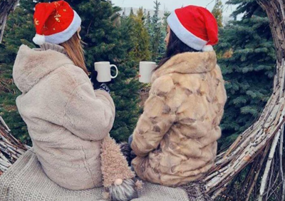 Авторський тур Зимовий вайб у пряному саду Дніпропетровська область/Спаське