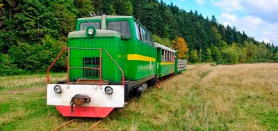 Авторський тур Прикарпатський трамвайчик. Трускавець, Східниця, Тустань, Скелі Довбуша Карпати/Трускавець