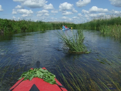 Авторський тур Cплав на байдарках по річці Случ. Водний похід Житомирська область/Звягель (Новоград-Волинський)
