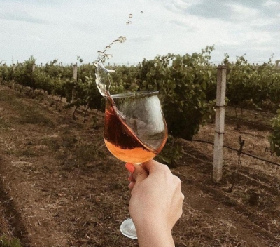 Авторский тур Сосновый бор и винодельня. Тур выходного дня из Одессы Херсонская область/Алёшки