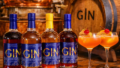 Авторський тур День, коли ви закохаєтесь у джин Дніпропетровська область/Дніпро