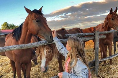 Авторский тур Конный двор Аисты и Китайгород (выезд из Запорожья) Днепропетровская область/Китайгород