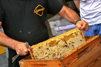 Авторський тур Медово-хмільний тур – тур вихідного дня із Запоріжжя Дніпропетровська область/Василівка-на-Дніпрі