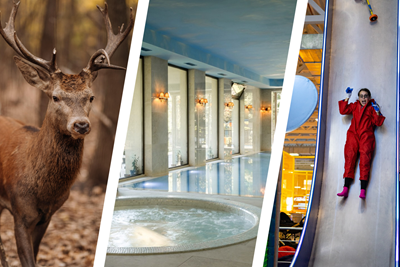 Авторський тур Один казковий день (зимовий Золотий Пляж) Дніпропетровська область/с. Орлівщина