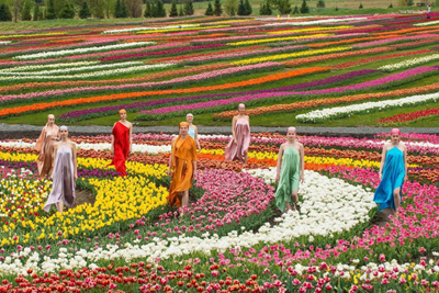 Авторський тур Шедеври паркового мистецтва - Добропарк, Олександрія, Буки, Острів Сакури Київська область/Біла Церква