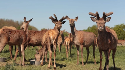 Авторський тур Еко-мандрівка в Турове Дніпропетровська область/Турове