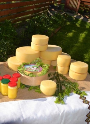 Авторський тур До Бойків на сир + SPA Карпати/Ужок