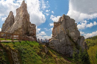 Авторський тур Карпати на 1 день + SPA Карпати/смт. Славське (Львівська область)