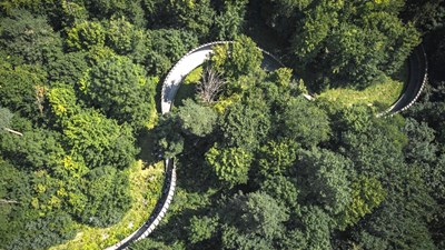 Авторський тур Кременець – Волинські Афіни Тернопільська область/Кременець