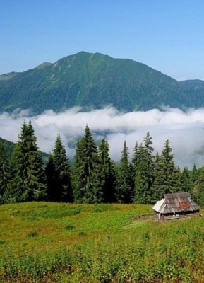 Авторський тур Гора Петрос, Манява і не тільки Карпати/Ясіня (Закарпатська область) Авторський тур Гора Петрос, Манява і не тільки Карпати/Ясіня (Закарпатська область)
