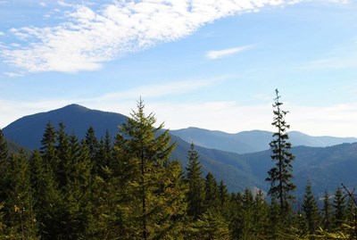 Авторский тур Поход по Карпатам: Горганы, Грофа (3 дня) Карпаты/Ивано-Франковск