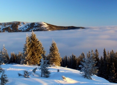 Авторський тур Похід в Карпати з комфортом. Сходження на гори Явірник, Хомяк, Говерлу. Ночівлі в пансіонатах Яремче Карпати/Яремче