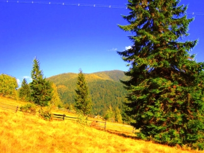 Авторський тур Карпати і Закарпаття: від Яремче до Синевиру Карпати/Микуличин